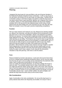 american basic dog house