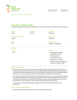 Creating a Worm Bin - EcoSpaces Education