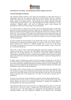 Sao Paulo City Case Study - Re-introducing of Howler Monkey in