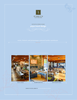 pique travel design