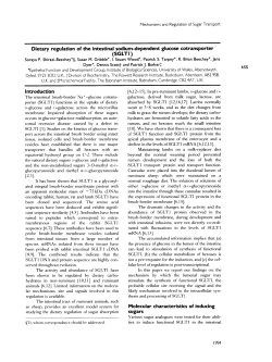 Dietary regulation of the intestinal sodium