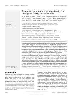 Evolutionary dynamics and genetic diversity from three genes of