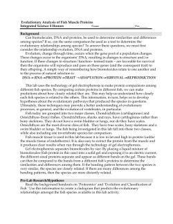 Evolutionary Analysis of Fish Muscle Proteins Integrated Science 4