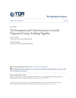 Tie Formation and Cohesiveness in a Loosely Organized Group