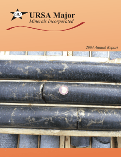 2004 Annual Report - Ursa Major Minerals Incorporated