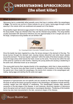 Read More - The South African Veterinary Association