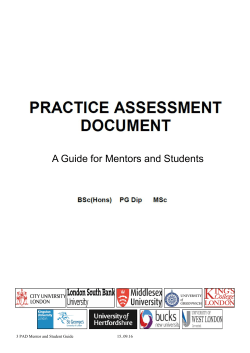 A Guide for Mentors and Students