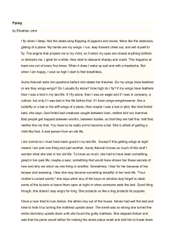 Flying by Elnathan John I fly when I sleep. Not the