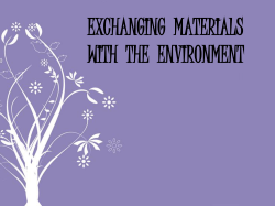 Exchanging Materials with the Environment