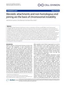 Merotelic attachments and non-homologous end joining are