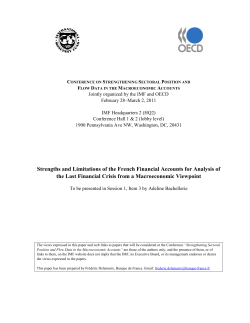 Strengths and Limitations of the French Financial Accounts for