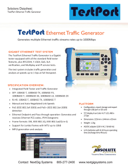 Handheld Ethernet Traffic Generator Datasheet