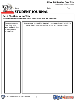 Part I: The Chain vs. the Web