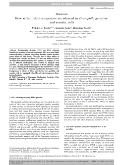 How selfish retrotransposons are silenced in Drosophila