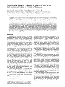Comprehensive Multigene Phylogenies of Excavate Protists Reveal