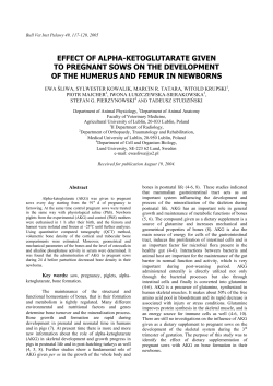 effect of alpha-ketoglutarate given to pregnant sows on the