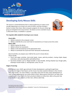 Developing Early Mouse Skills