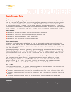 Learn More About This Program