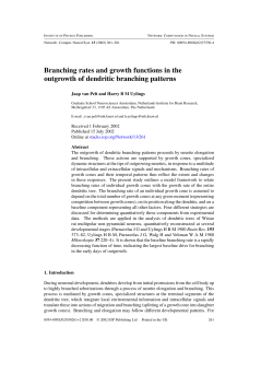 Branching rates and growth functions in the outgrowth of dendritic