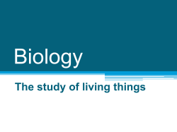 CHARACTERISTICS OF LIVING THINGS