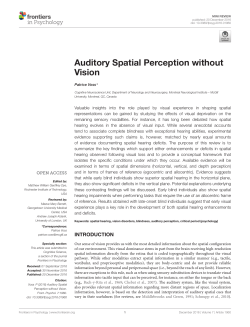 Auditory Spatial Perception without Vision