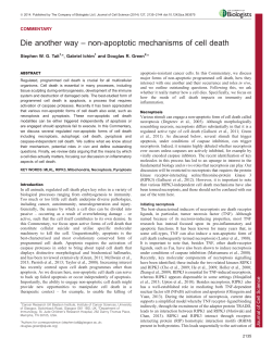 non-apoptotic mechanisms of cell death