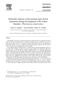 Molecular analysis of the amylase gene and its expression during