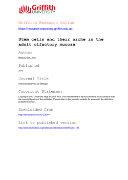 Stem cells and their niche in the adult olfactory mucosa