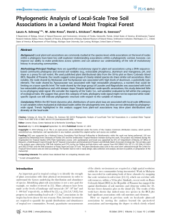 Phylogenetic Analysis of Local-Scale Tree Soil Associations in a