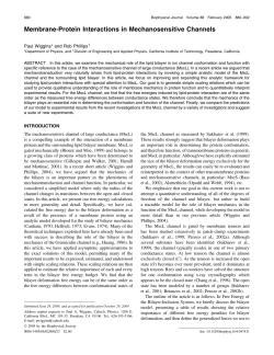 Membrane-Protein Interactions in Mechanosensitive Channels
