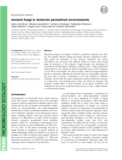 Ancient fungi in Antarctic permafrost environments