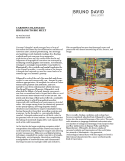 Essay  - Bruno David Gallery