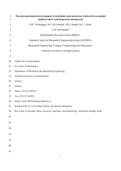 The micromechanical environment of osteoblasts and osteocytes is