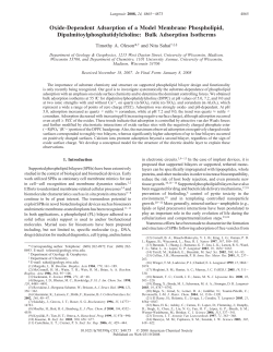 Oxide-Dependent Adsorption of a Model Membrane Phospholipid