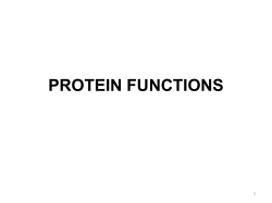 protein functions