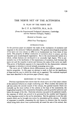 THE NERVE NET OF THE ACTINOZOA BY CFA PANTIN, MA, Sc.D.