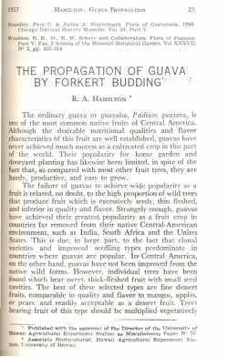 the prop.agation of guava by forkert buddingi