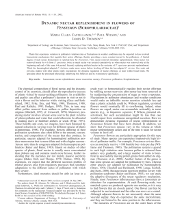 dynamic nectar replenishment in flowers