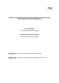 1 FINANCIAL CONSTRAINTS AND EMPLOYMENT