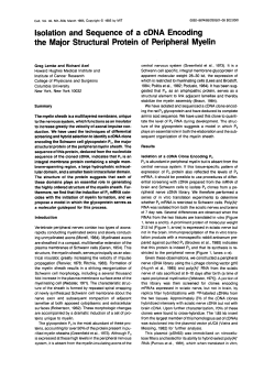 Cell - Semantic Scholar