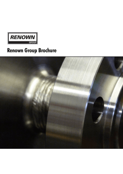 Renown Group Brochure