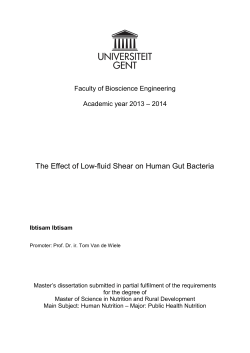 The Effect of Low-fluid Shear on Human Gut Bacteria