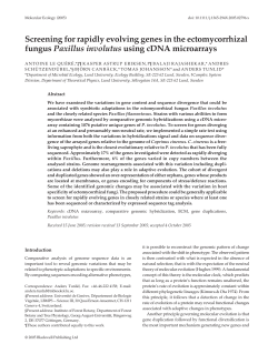 ANTOINE LE QU&Eacute;R&Eacute;, KASPER ASTRUP ERIKSEN BALAJI