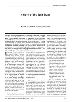Visions of the Split Brain - The New Zealand Psychological Society