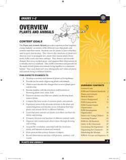Module Overview PDF