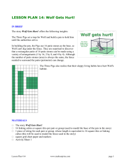 LESSON PLAN 14: Wolf Gets Hurt!
