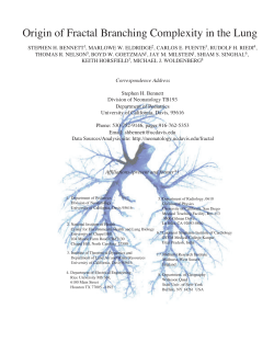 Origin of Fractal Branching Complexity in the Lung