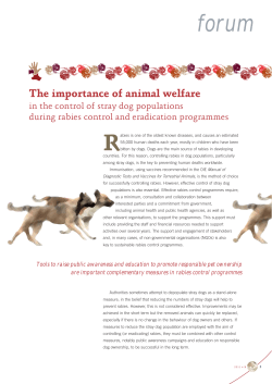 The importance of animal welfare