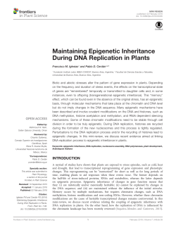 Maintaining Epigenetic Inheritance During DNA Replication in Plants