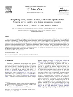 Spontaneous binding across ventral and dorsal